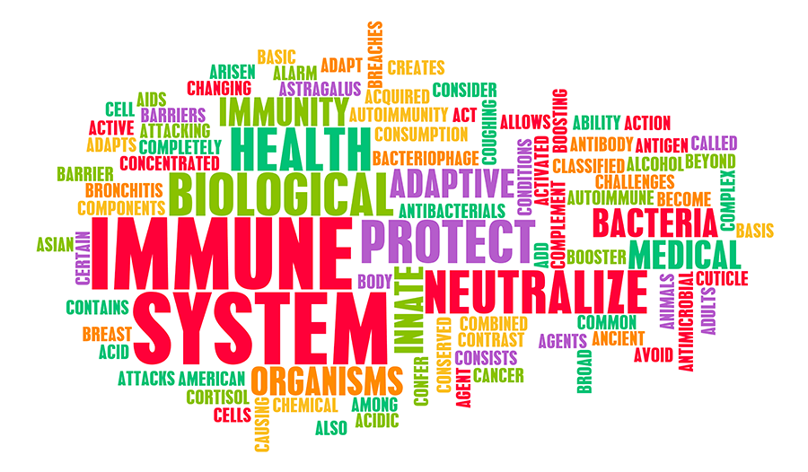 Image Presenting Immune System For Best Health Protection